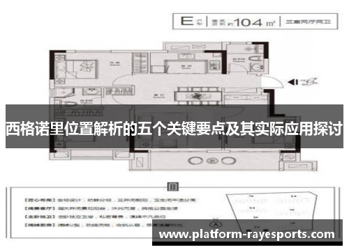 西格诺里位置解析的五个关键要点及其实际应用探讨