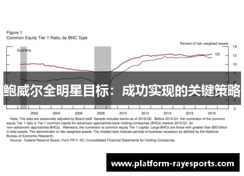 鲍威尔全明星目标：成功实现的关键策略