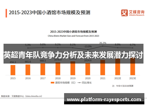 英超青年队竞争力分析及未来发展潜力探讨
