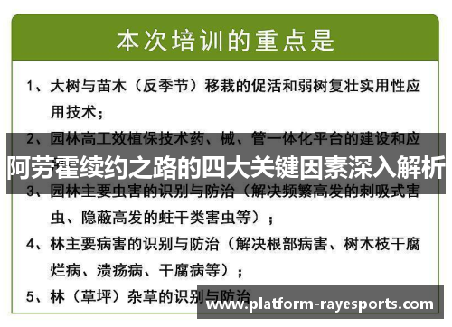 阿劳霍续约之路的四大关键因素深入解析