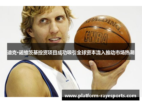 迪克·诺维茨基投资项目成功吸引全球资本流入推动市场热潮